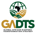 Global African Diaspora Transformation Strategy